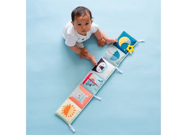 ספר עגלה ופעילות דו-צדדי דב קוטב טף טויס Taf Toys