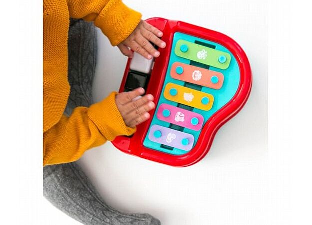 קסילפון PLAYGRO